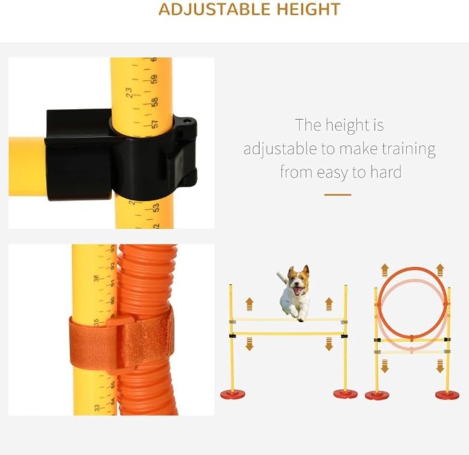4-Piece Dog Agility Training Equipment - Image 4