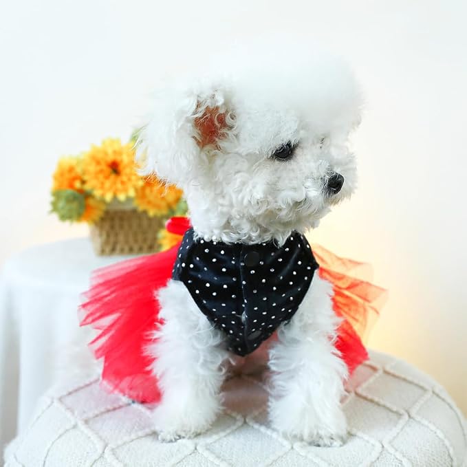 Black Polka Dot Dog Dress with D-Ring, Puppy Wedding Attire - Image 5