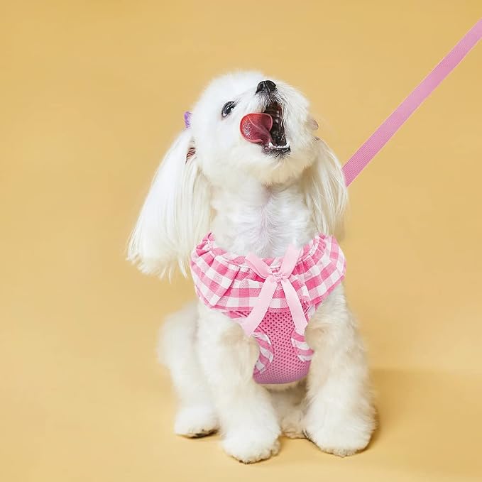 EXPAWLORER Cute Dog Harness and Leash Set - Image 7
