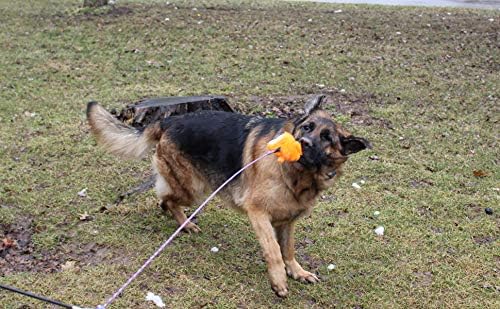 Jalousie Dog Flirt Pole Compatible Toys - Image 6