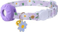 Breakaway Cat Collar with Airtag Holder, Kitten Collar with Apple Air Tag by Bencacawinstyle
