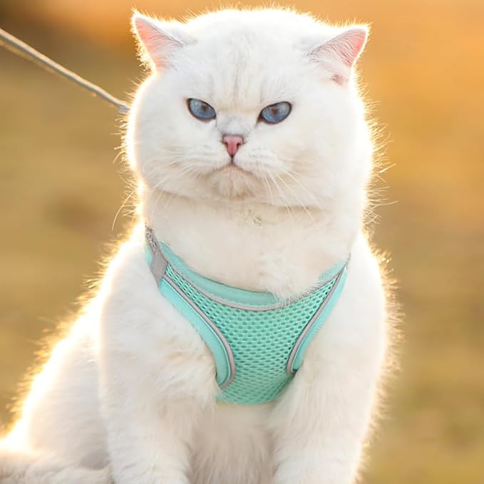 Cat Harness and Leash Set Soft Adjustable Escape Proof Cat Leash Breathable - Image 5