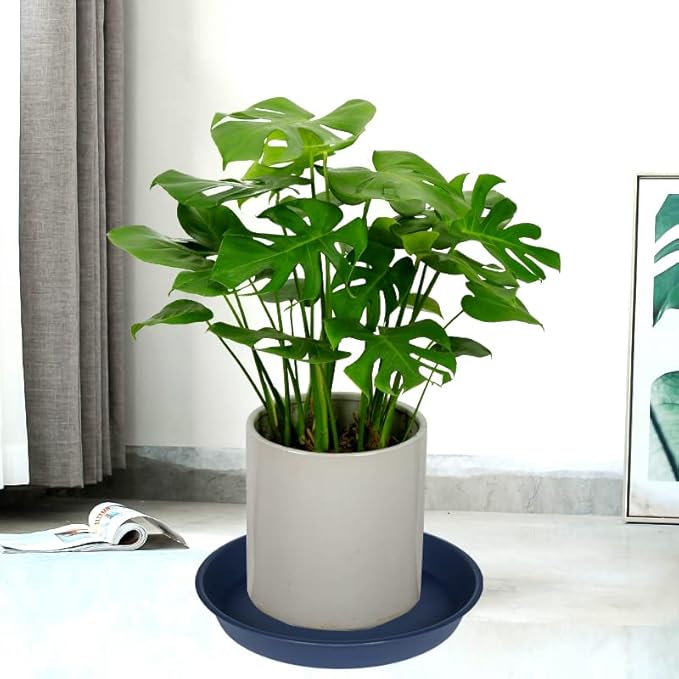 4 Pack of 16 inch Plant Saucer, Heavy Duty Round Plant Trays - Image 5