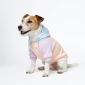 Spark Paws Dog Hoodie – Premium Dog Sweater by SparkPaws