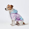 Spark Paws Dog Hoodie – Premium Dog Sweater by SparkPaws