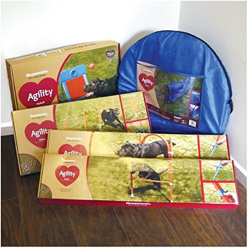 Agility Hoop Jump - Image 4