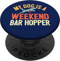 Dog Agility Bar Jump by Unknown