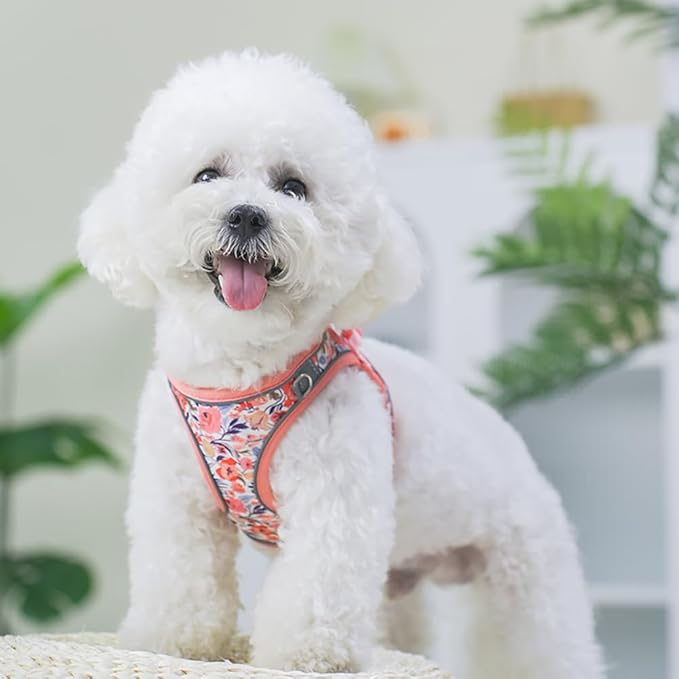 Step in Dog Harness and Leash Set, Flower Adjustable Easy Walk Puppy Harnesses - Image 6
