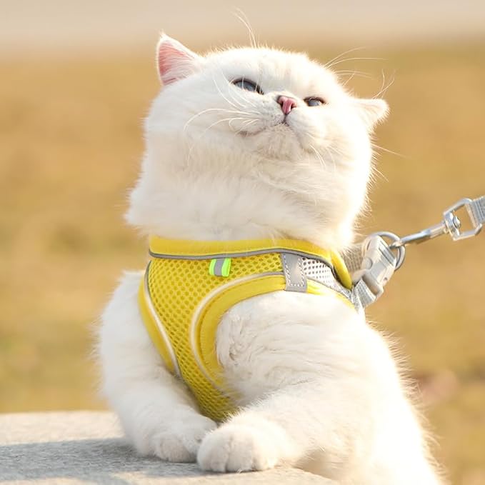 Cat Harness and Leash Set Soft Adjustable Escape Proof Cat Leash Breathable - Image 5
