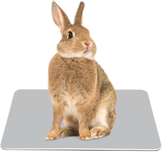 Elome Pet Cooling Pad, 11.8" X 7.9" Aluminum Summer Animal Cool Mat Plate Ice by LeLehome
