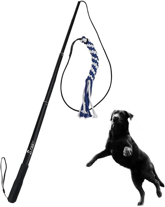 Flirt Pole for Dogs, Interactive Teaser Wand by SYOOY