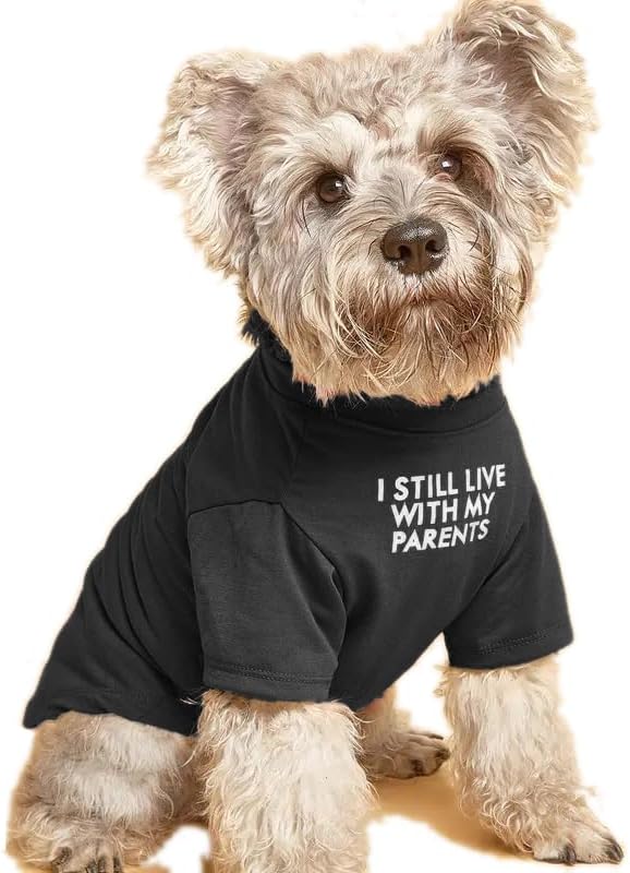 Cute Dog Clothes, T Shirt for Medium and Small Dogs Girl Boy, Puppy.Breathable by HipGirl