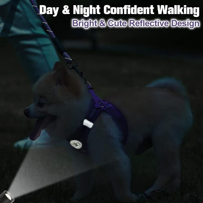 BEAUTYZOO Small Dog Harness and Leash Set, Step in No Choke No Pull Soft Mesh - Image 6