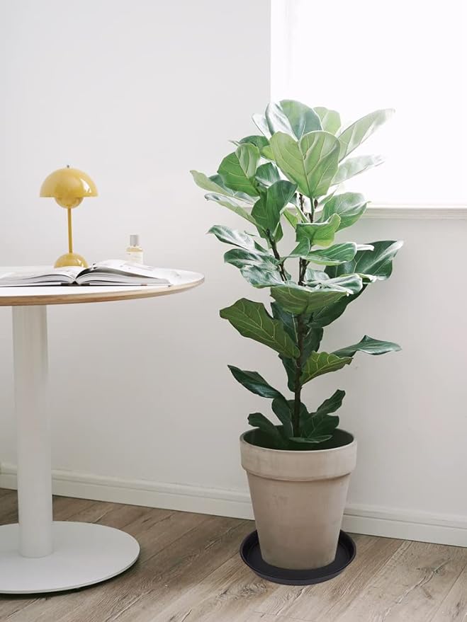 4 Pack of 14 inch Plant Saucer, Heavy Duty Plant Saucer 14 inch Round, Plastic - Image 7
