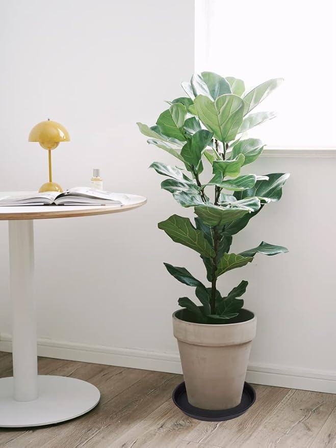 2 Pack of 14 inch Plant Saucer, Heavy Duty Round Plant Trays - Image 6