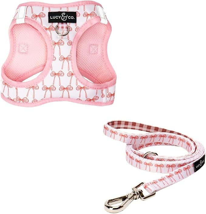 Lucy & Co. Take a Bow Step-in Cat Harness & Leash Bundle – Reflective, by LucyCo