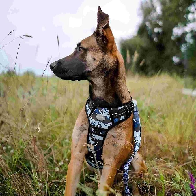 Auroth Tactical Dog Training Harness No Pulling Front Clip Leash Adhesion - Image 6
