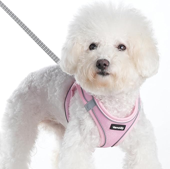 Sparkly Dog Harness Small Sized and Leash Set - Image 2