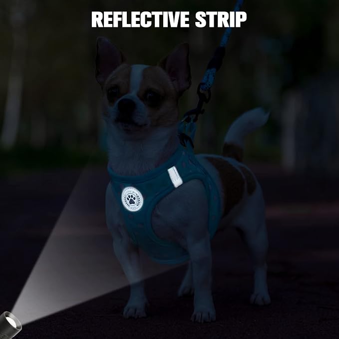 BEAUTYZOO Step in Dog Harness and Leash Set, Polka Dot Pattern Reflective Dog - Image 6