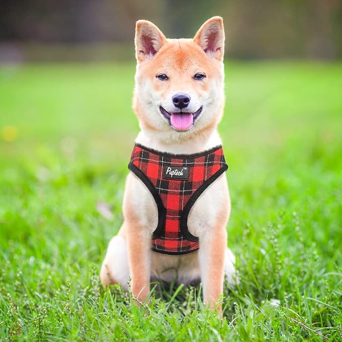 PUPTECK Soft Mesh Dog Harness and Leash Set Pet Puppy Cat Comfort Padded Vest - Image 7