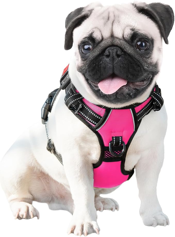PHOEPET No Pull Dog Harnesses for Small Dogs Reflective Adjustable Front Clip - Image 6