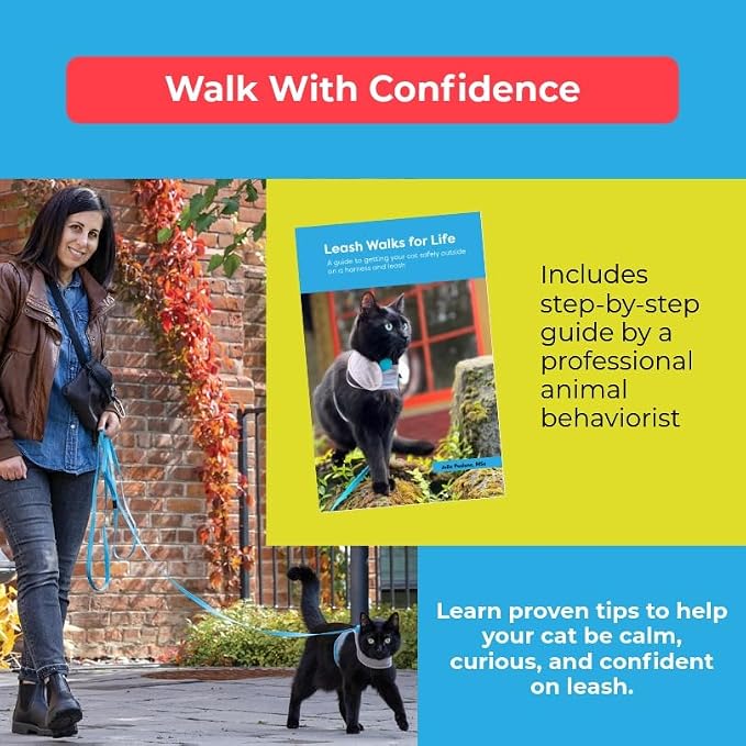 CAT SCHOOL Cat Harness and Leash Set - Image 4