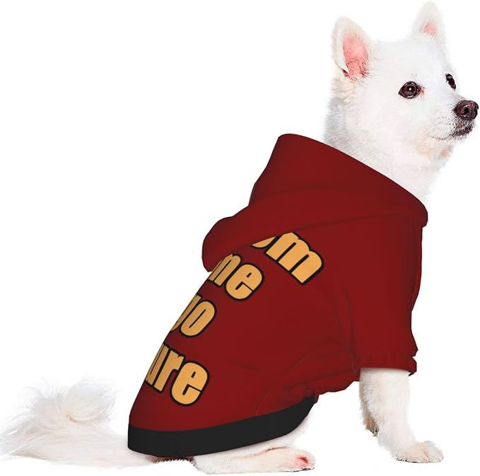 Custom Basic Dog Hoodies Sweatshirt - Image 3