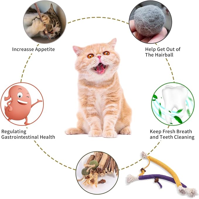 Kyouki Cat Toys Cat Chew Toys, Kitten Dental Care, Kitty - Image 5