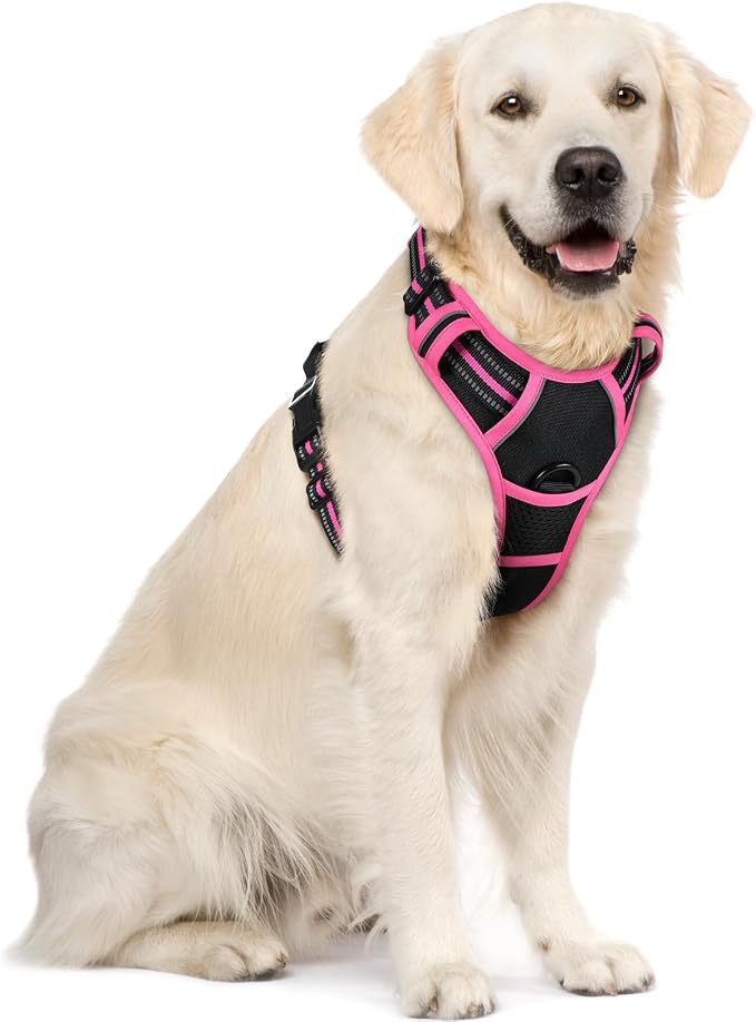 rabbitgoo Dog Harness No Pull by rabbitgoo