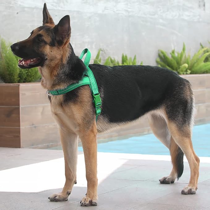 Plutus Pet No Pull Dog Harness - Image 5