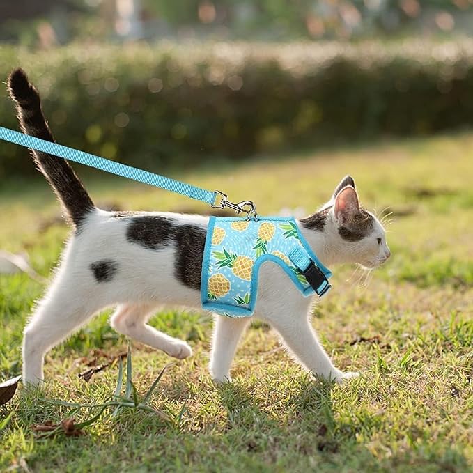 BINGPET Cat Harness - Image 6