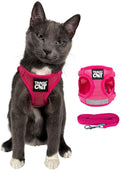 Travel Cat Harness and Leash Set by TheFatCat