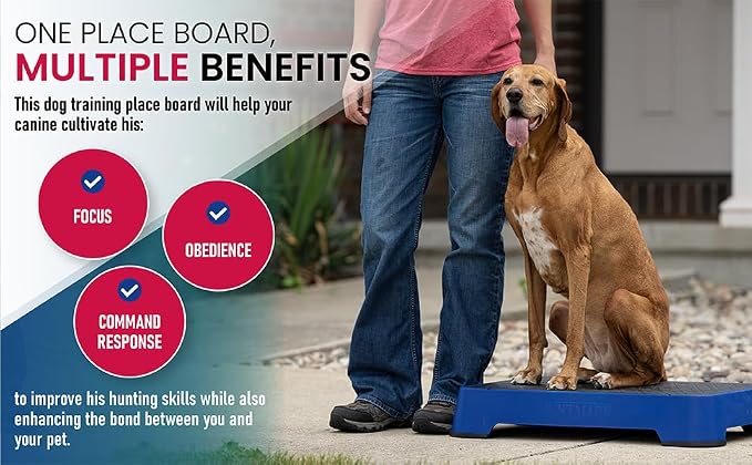HUNTMARK Dog Training Place Board - Image 6