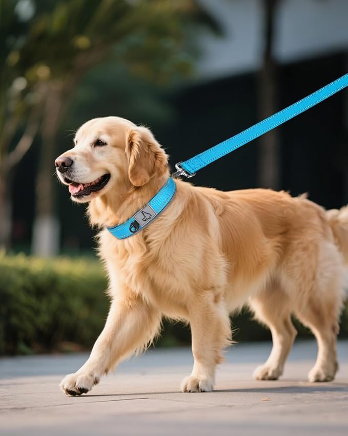 Joytale Dog Collar for Extra Large Dogs, Neoprene Padded and Adjustable - Image 6
