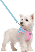 rabbitgoo Dog Harness Small Sized and Leash Set, Step in Soft Light Puppy Vest by rabbitgoo