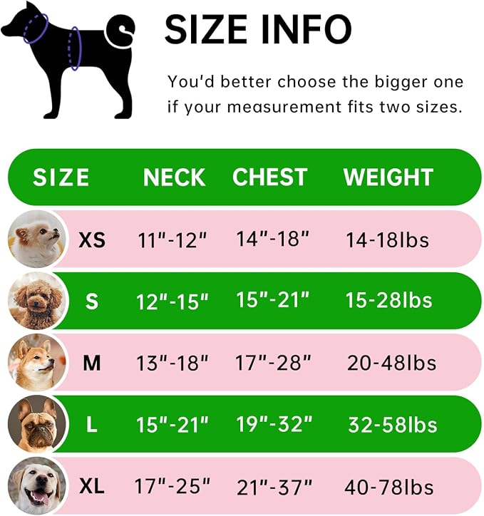 IVY&LANE No Pull Dog Harness for Small Dogs, Dog Vest Harness - Image 2