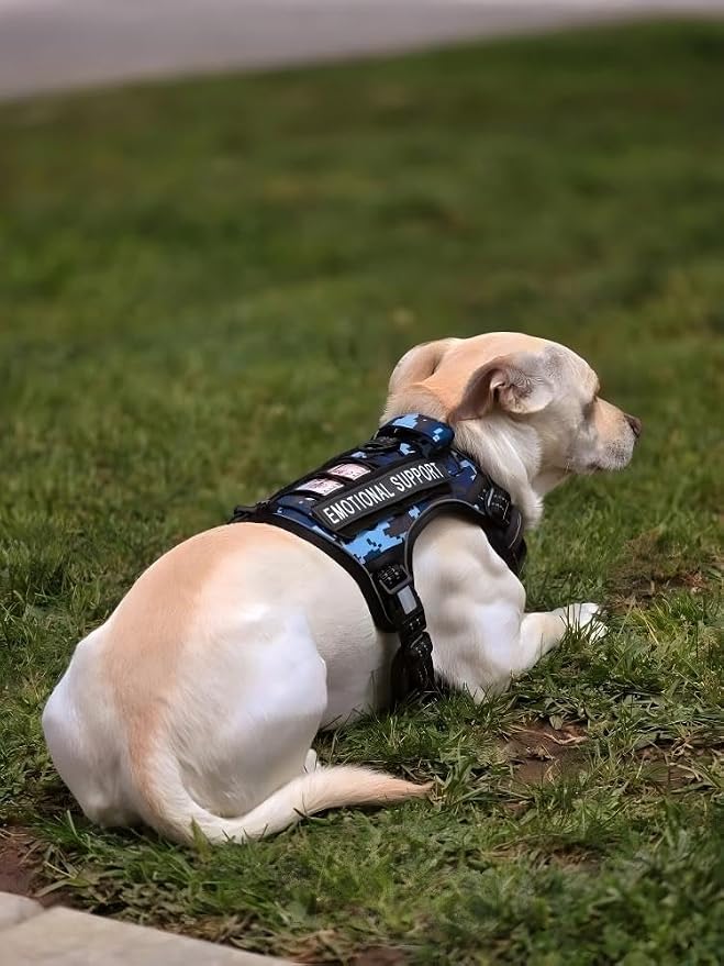 Auroth Tactical Dog Training Harness No Pulling Front Clip Leash Adhesion - Image 6
