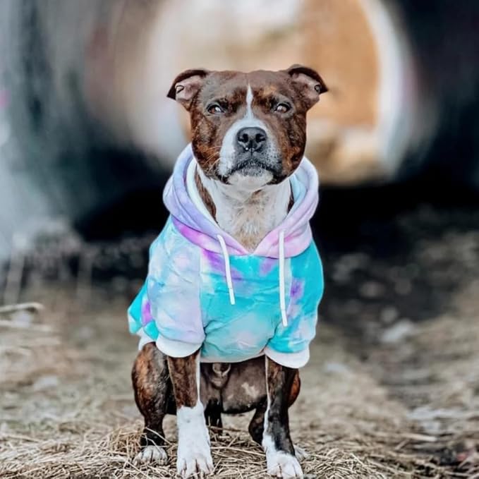 Spark Paws Dog Hoodie – Premium Dog Sweater - Image 3