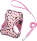 Step in Dog Harness and Leash Set, Flower Adjustable Easy Walk Puppy Harnesses by Flymind