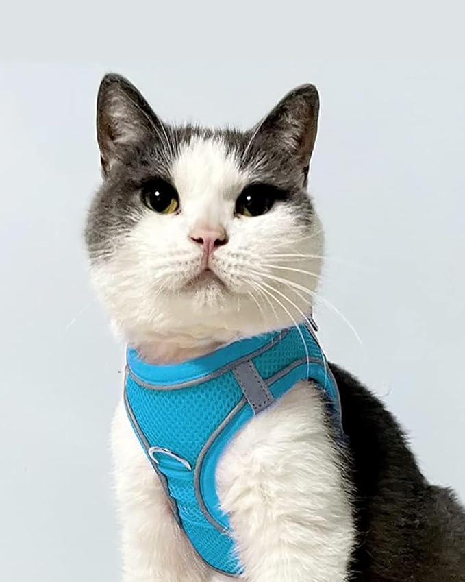Joytale Small Dog Harness, Breathable Mesh Step-in Vest, Reflective Soft Padded - Image 2