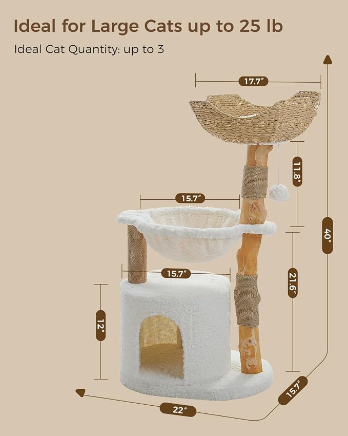 Modern Cat Tree for Large Cats, Wood Cat Tower for Indoor Cats, Real Branch - Image 9
