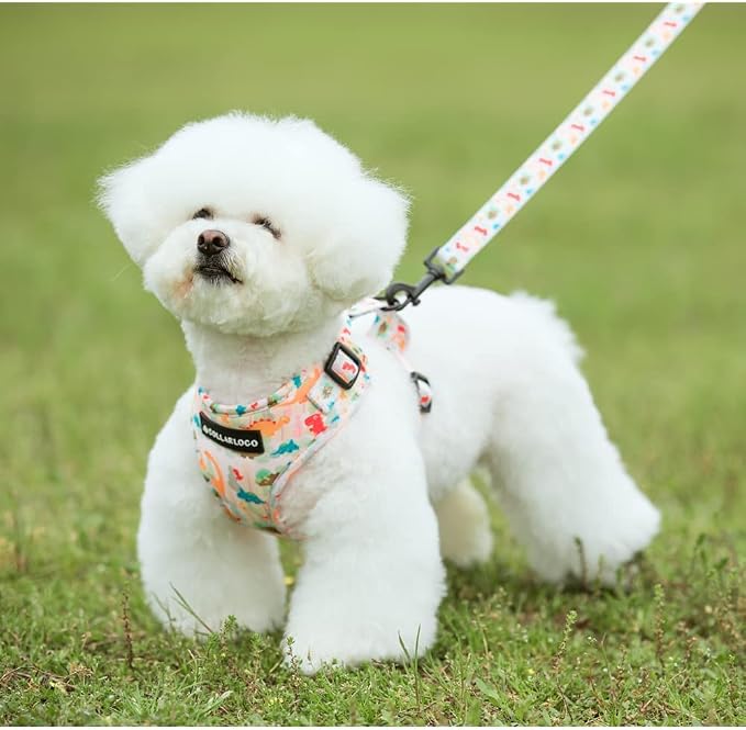 Adjustable Dog Harness and Leash Set - Image 6