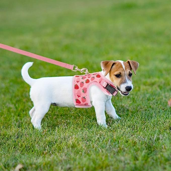 BINGPET Cat Harness with Leash Escape Proof - Image 6