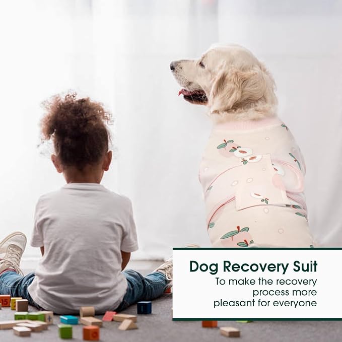 Kuoser Recovery Suit for Dogs Cats After Surgery, Professional Pet Recovery - Image 5