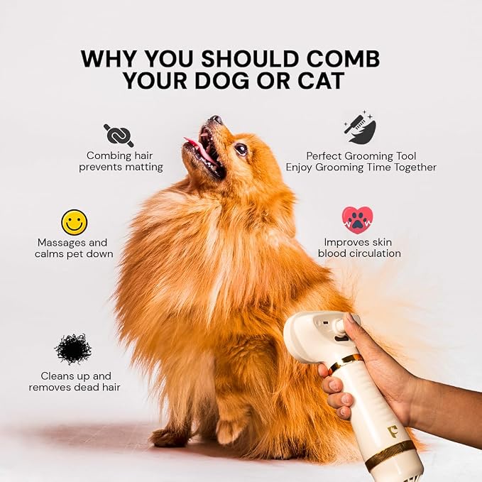Pet Steam Brush Grooming Dryer for Dogs & Cats – 3-in-1 Grooming Tool - Image 5