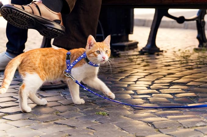 Cat Harness and Leash Set Gold Moons Soft Nylon Escape Proof Adjustable - Image 6