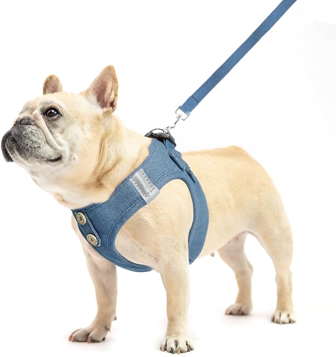 PUPTECK Dog Harness and Leash Set - Image 2