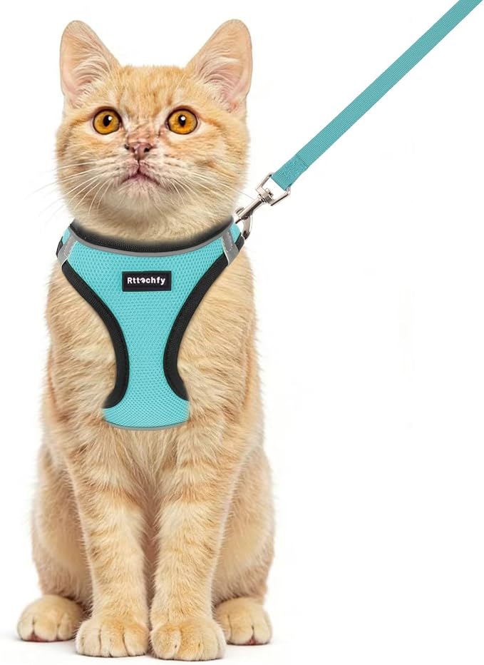 Rttochfy Cat Harness and Leash Set, Escape Proof Kitten Harness, Soft and by Rttochfy