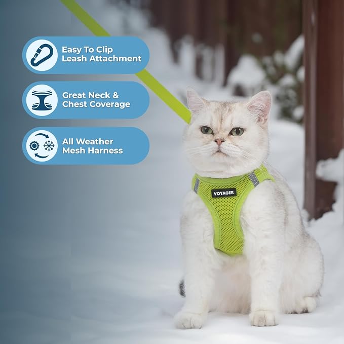 Voyager Step-in Pet Harness - Image 5