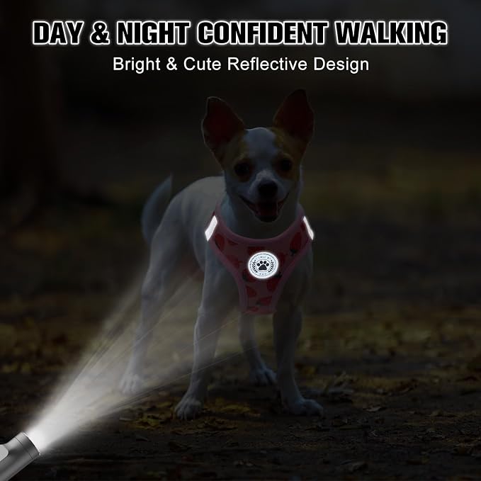 BEAUTYZOO Step in Dog Harness and Leash Set, Reflective Dog Harness No Pull No - Image 6